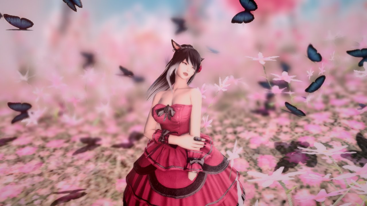 Butterflies photo 4