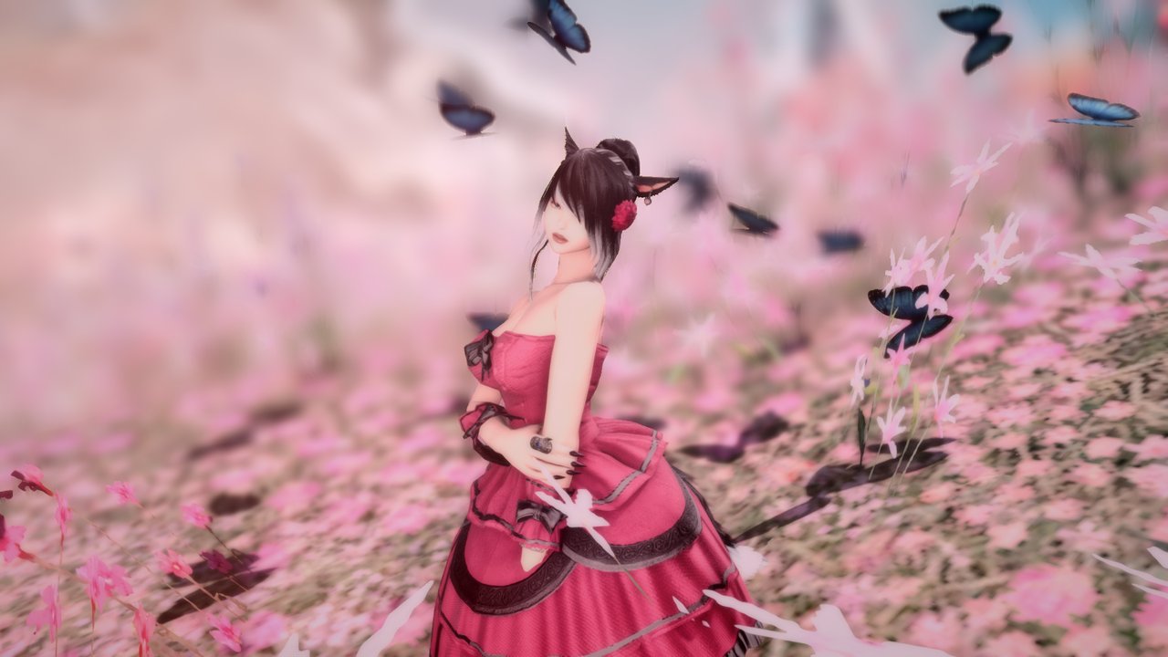Butterflies photo 5