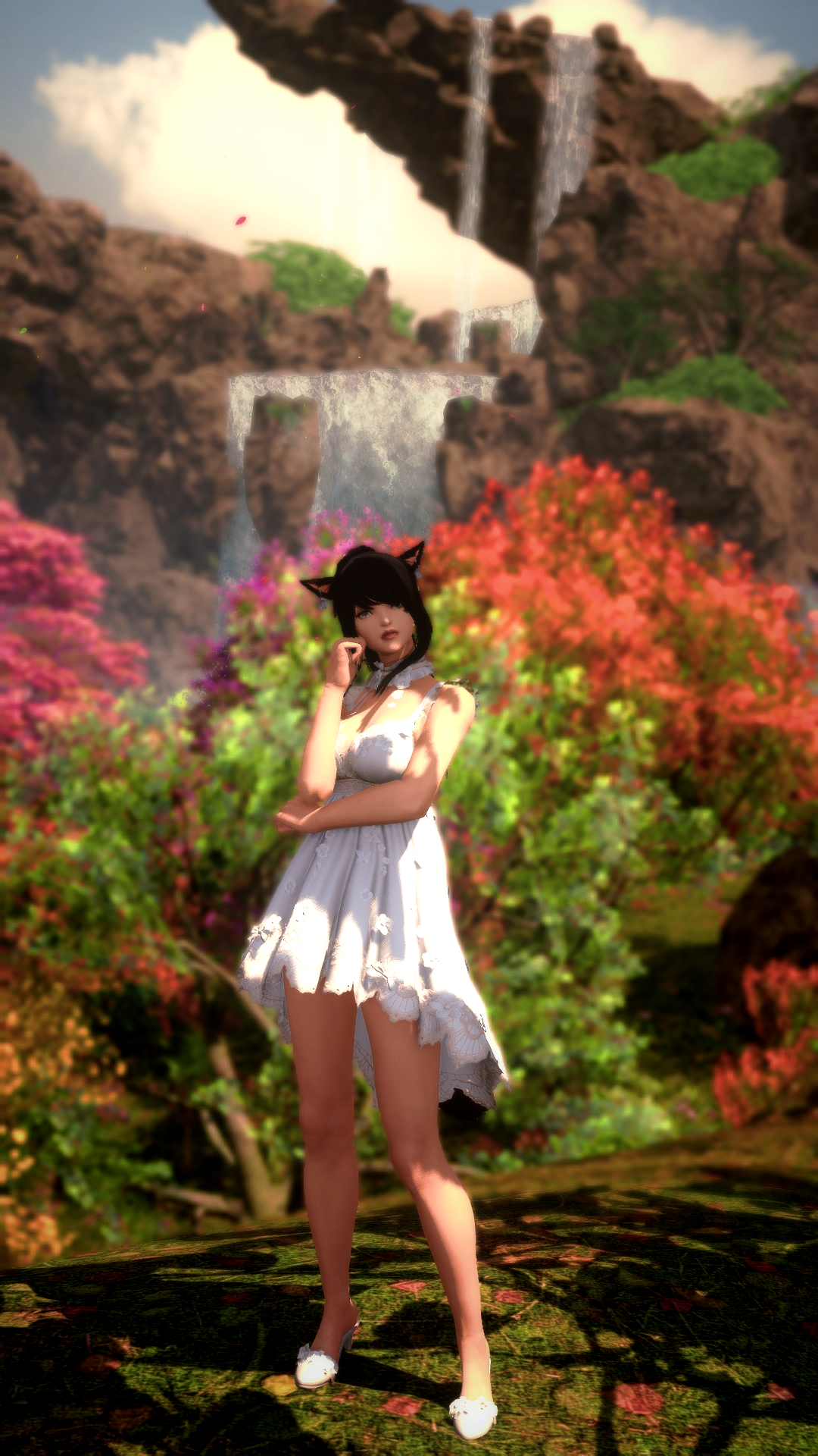 Petals in Thought photo 1