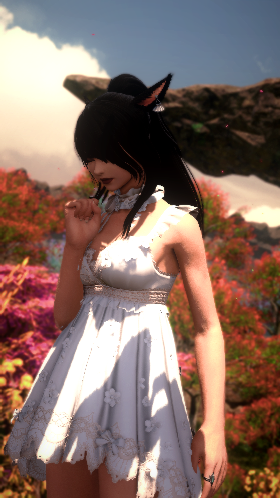 Petals in Thought photo 2